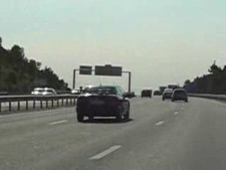 Les fous sont lachés