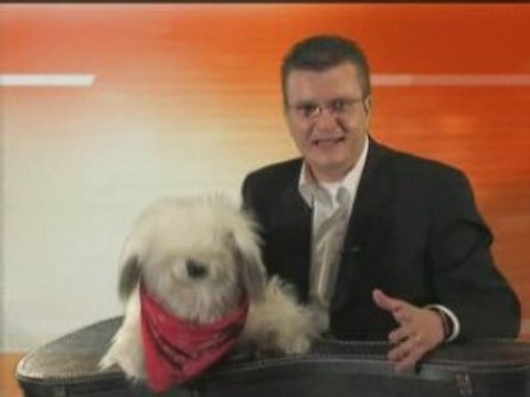 Joseph est vendu par ses frères