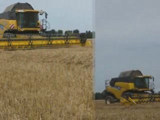 Moisson