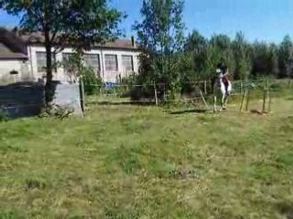 2008_073018080008