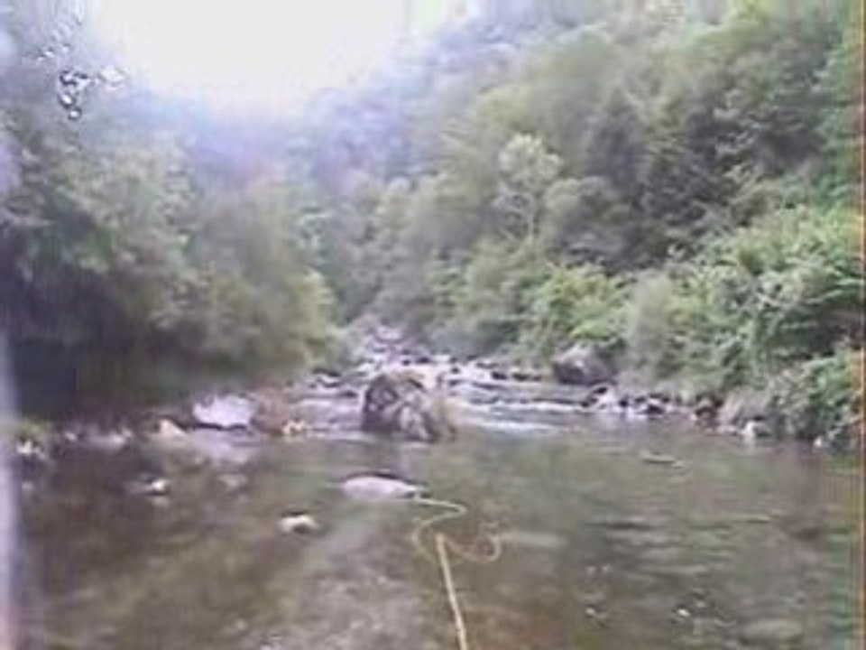 gave d'ossau a eaux chaudes (64)