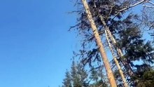 Unglaubliche Momente 2026 - 1 in 1000000 Clips (Versuche nicht zu lachen)
