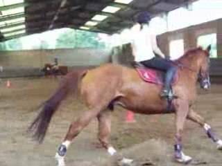 cours du 9 aout 2OO8