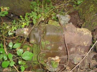 casse auto sauvage cimetiere