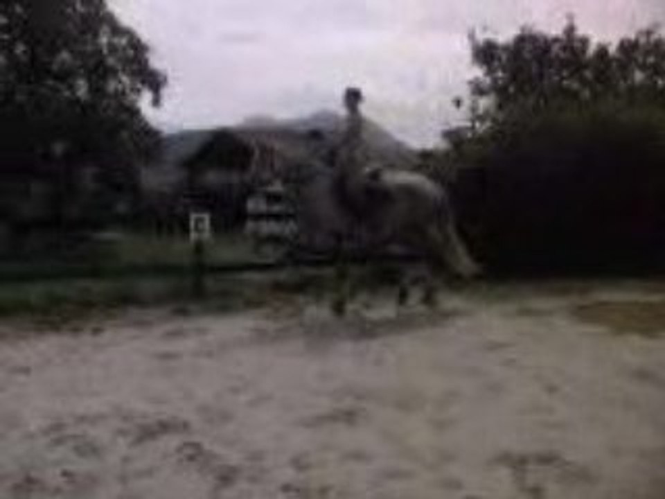 Vidéo0009
