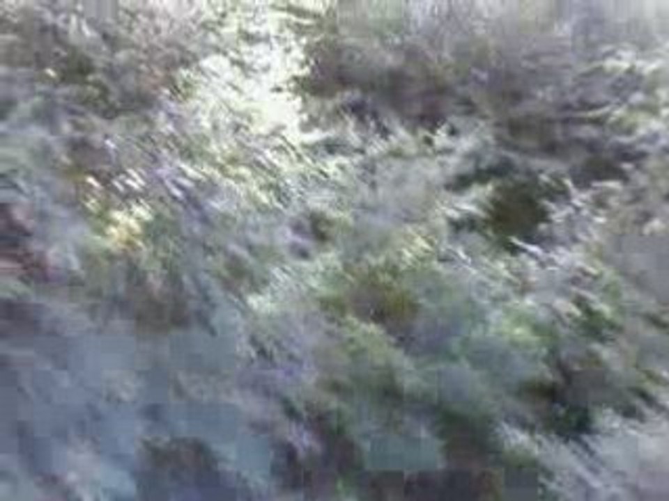Video012