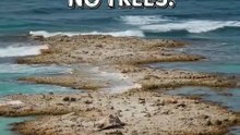 They Were Abandoned on a Tiny Island for 15 Years