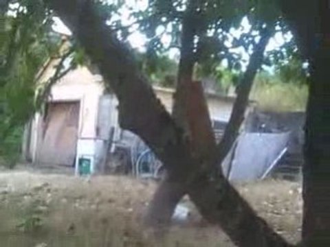 Tacoma Wholesale Property, Tacoma Investment Deal