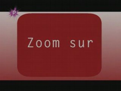 Foire de béré 2008 à Châteaubriant, présentation...