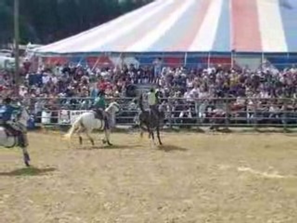 rodeo_cheval