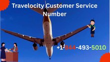 Travelocity Customer Service Number Full Guide How to Resolve issue