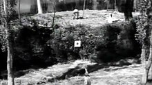 Hay Foot 1942