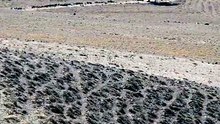 الشيخ محمد صديق المنشاوي { سورة الكافرون } المصحف المرتل