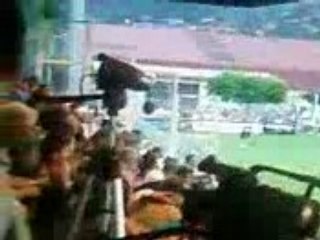 Rugby st affrique challenge vaquerin