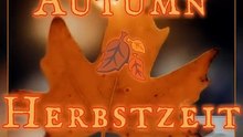 Autumn time is reading time.  🍂📖🍂 Herbstzeit ist Lesezeit.