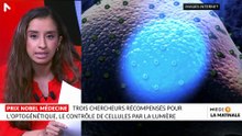 Sciences & Nous : comprendre l´optogénétique