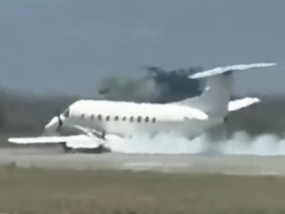Nach kollision mit zebra: flugzeug legt bauchlandung hin