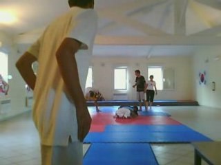 TKD 4: Mastering the Art of Taekwondo 🥋