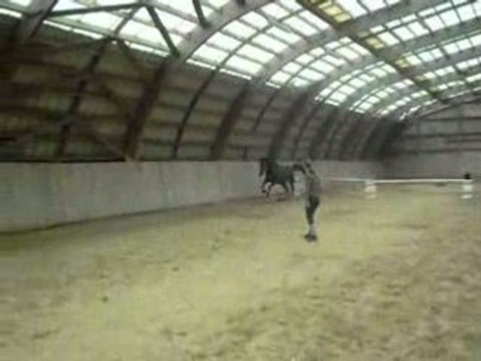 Qalinda au manège2