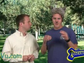 Dog Knows - How to establish the alpha roll with your dog