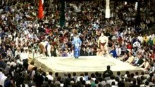 Sumo !!!