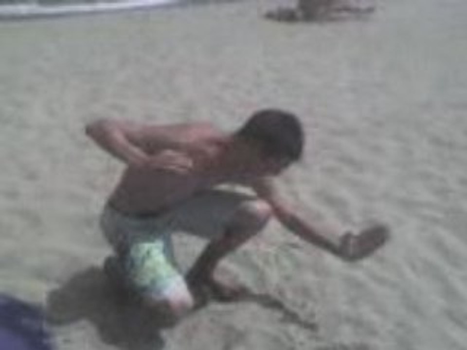 Coco version Brice de Nice