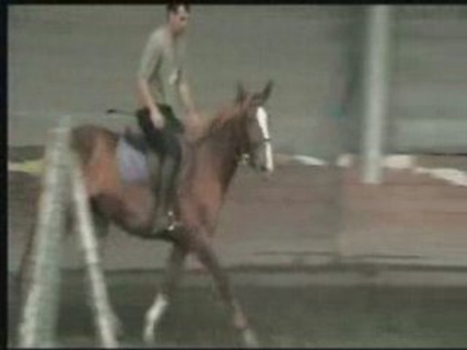 Quoquo girl