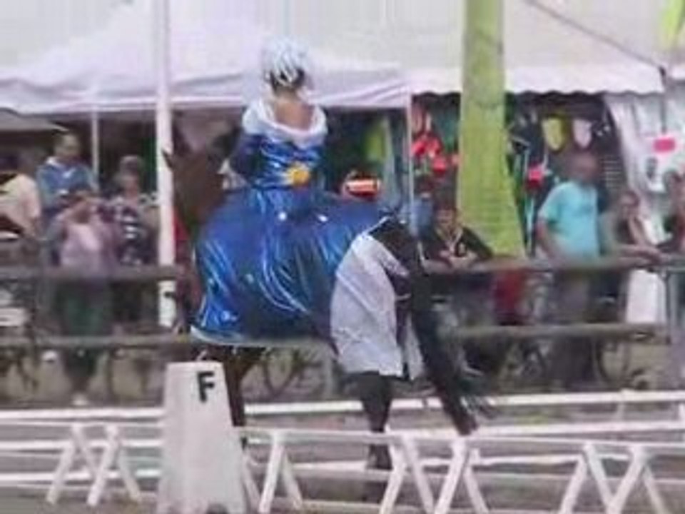 Championnat de france 2008 Dressage club 2 jeune cavalier