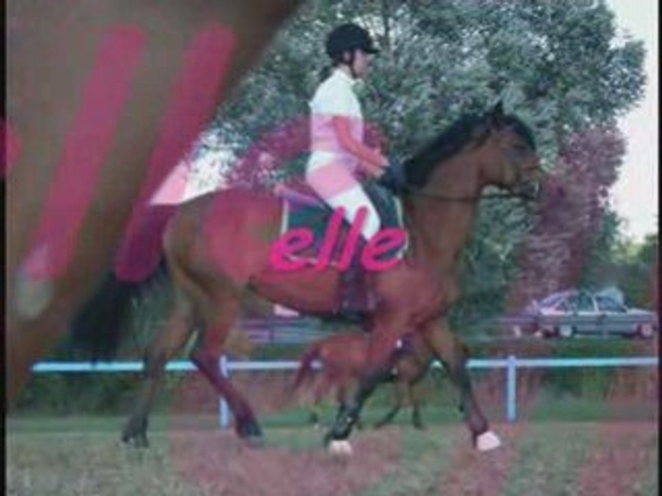 Chalais 2oo8