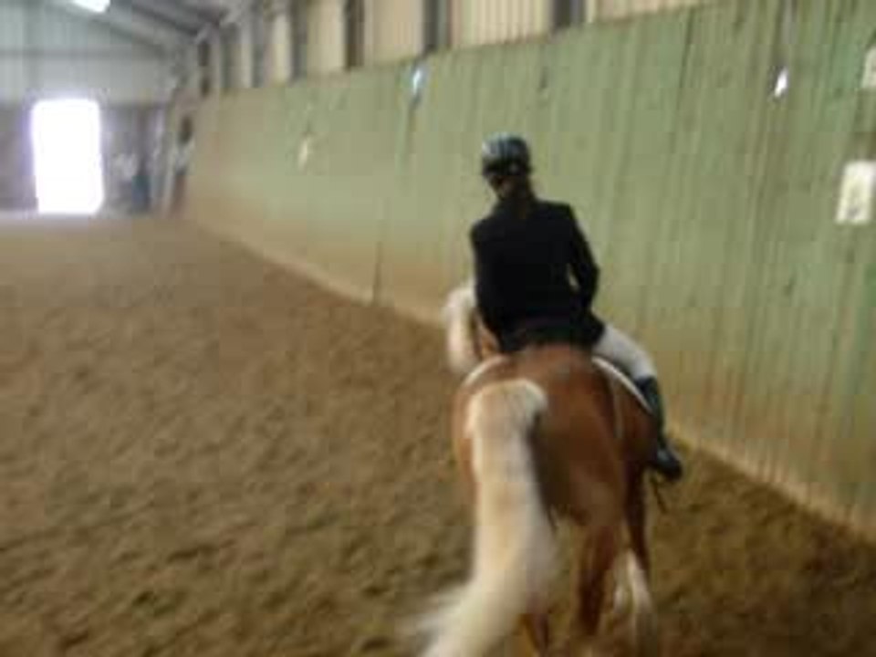 dressage A6