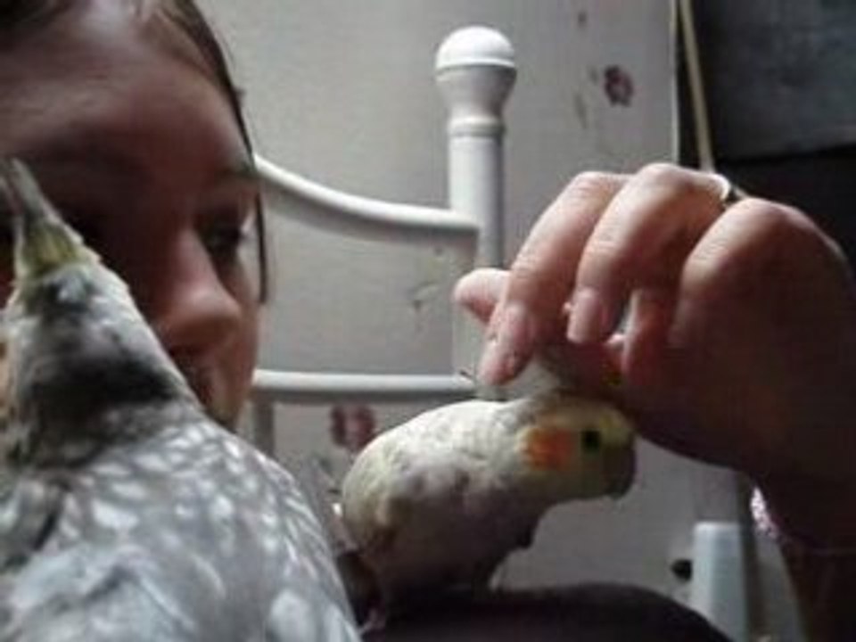 calin 3