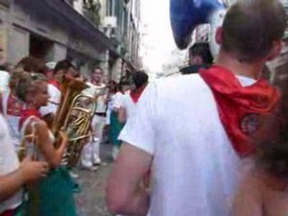 fête de bayonne 2oo8