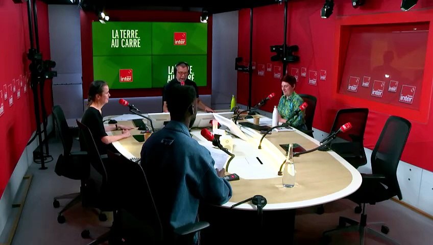 Bientôt un nouvel usage pour les voitures électriques - Tout va bien dans ce monde, Mamadou Dembele