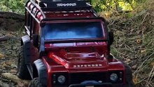 TRX-4 Forest Fun Short 2