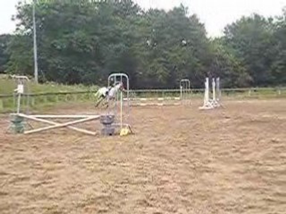 Concours a st-herblain