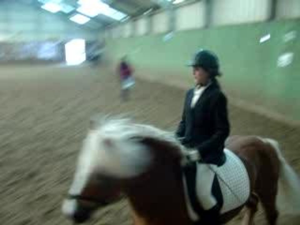 dressage A6