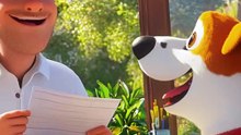 Bruno el Perro Detective que Cambió un Barrio