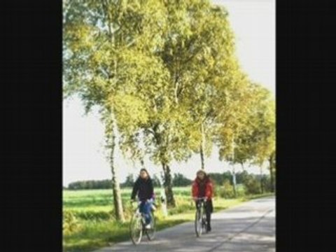 FARID EL ATRACHE-YA ZAHRATAN FI KHAYALI