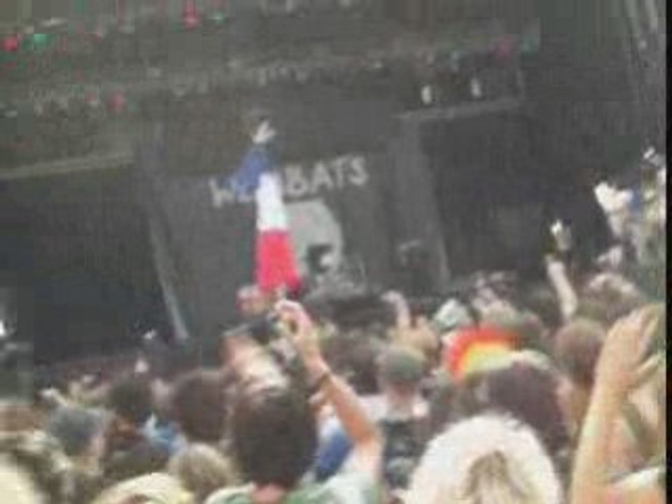 Szigetwombats