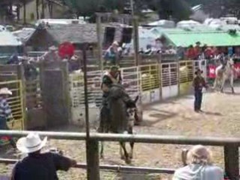 equilbues