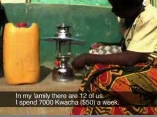 MicroLoan Foundation: The Entrepreneurs of Africa