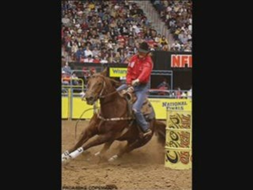 Le cheval ... (NON a l'hippophagie)