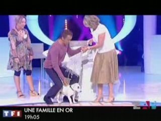 Zapping du 1er aout 2008 par zap-tele.com
