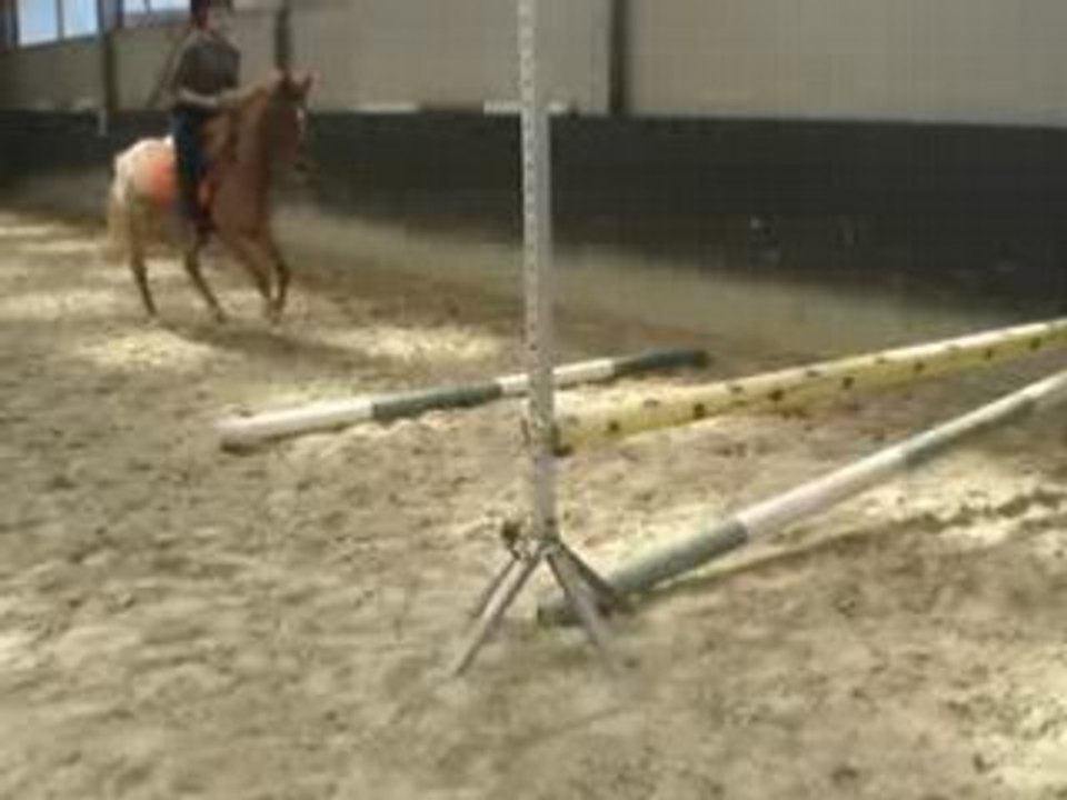 saut d'obstacle