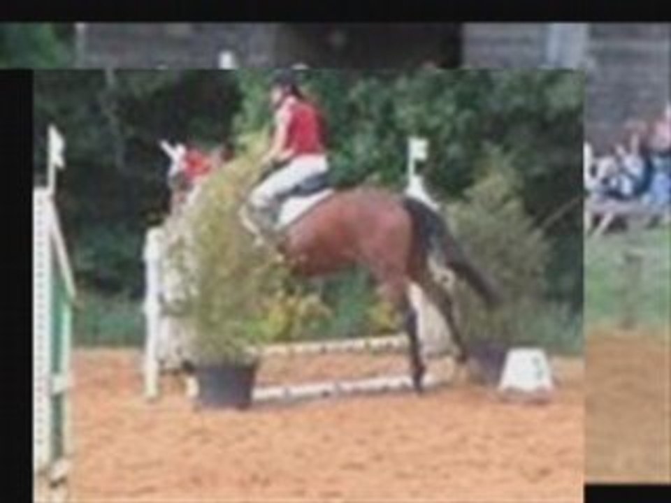 Saison 2007 2008