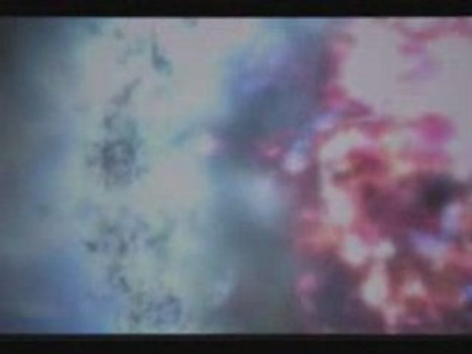 TheLastRemnant_E32008_Trailer