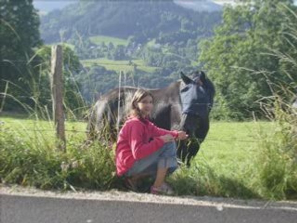 Les compagnons du camping