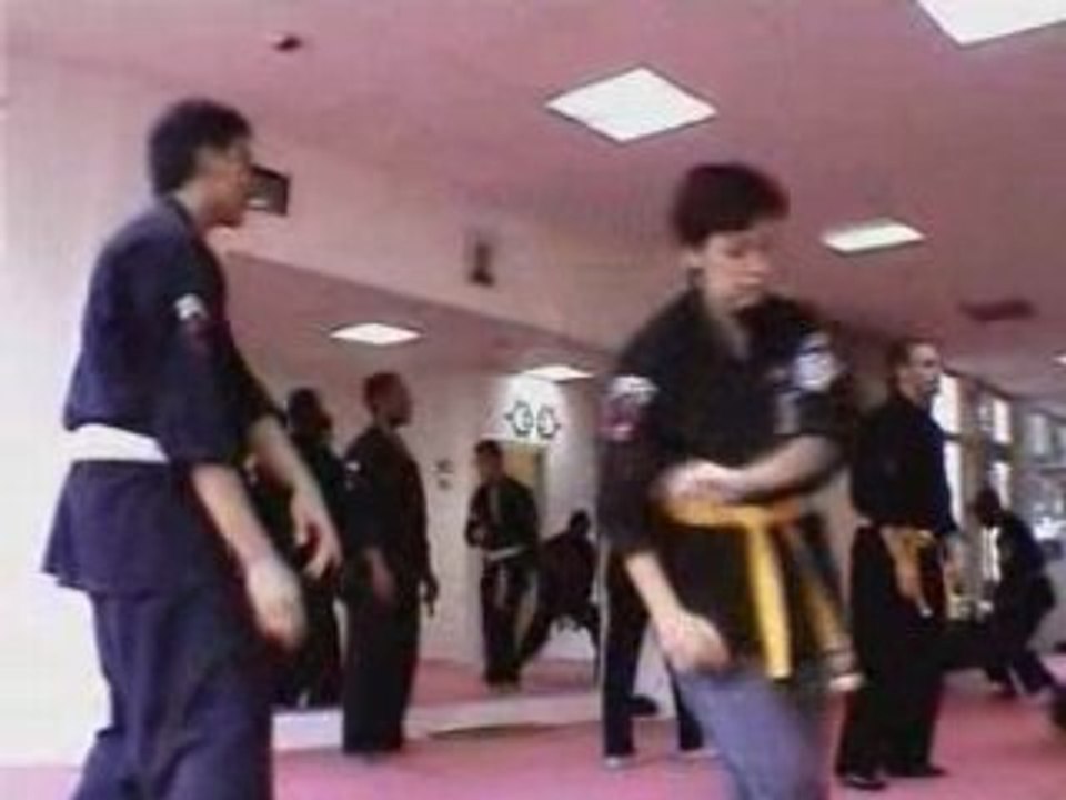 American Kenpo 2006