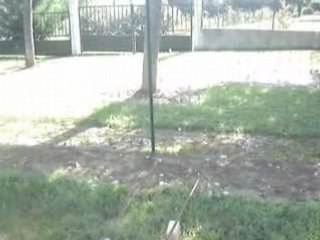 Athos en pleine éffOrt