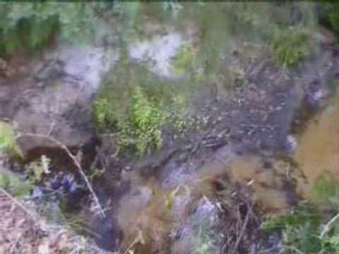 Extrait Snake Fighting de Gregsnake, studio pm records